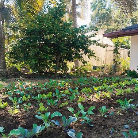 Ella Nature Valley Homestay מראה חיצוני תמונה