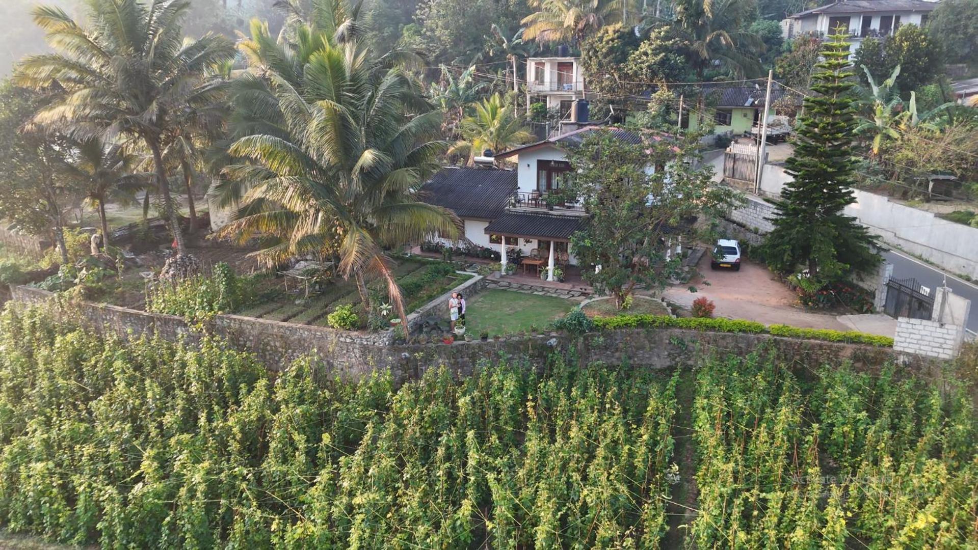 Ella Nature Valley Homestay מראה חיצוני תמונה