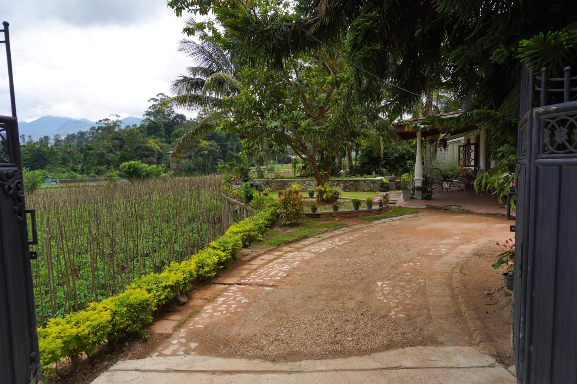 Ella Nature Valley Homestay מראה חיצוני תמונה