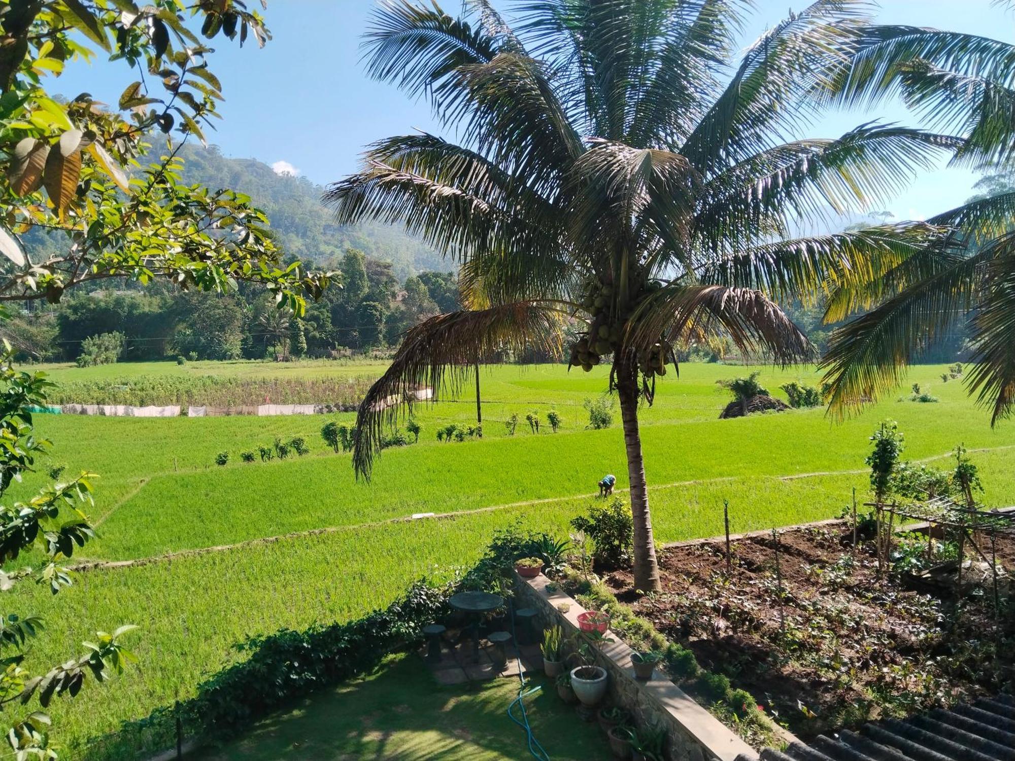 Ella Nature Valley Homestay מראה חיצוני תמונה